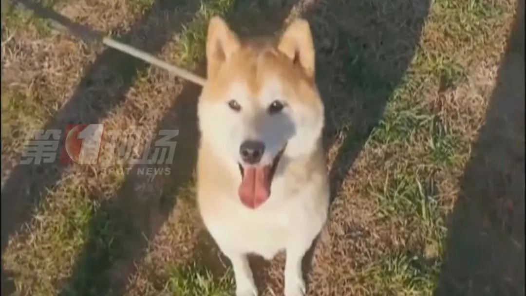 DƬ